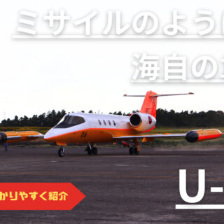 飛行機 ノースロップXP56ブラ…：異形の航空機 第2次世界大戦前・戦中編